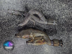 Lamborghini Revuelto Acoustiq Atelier Exhaust System